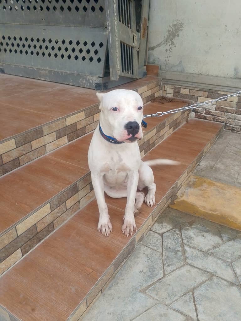 hebron-veterinary-clinic-nigeria